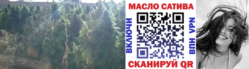 Дистиллят ТГК THC oil  Нюрба 